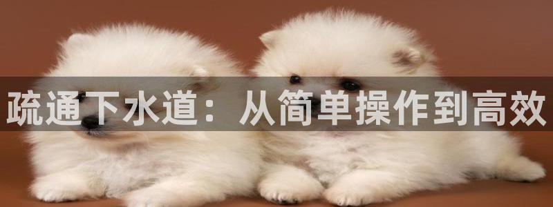 天辰娱乐天辰宝