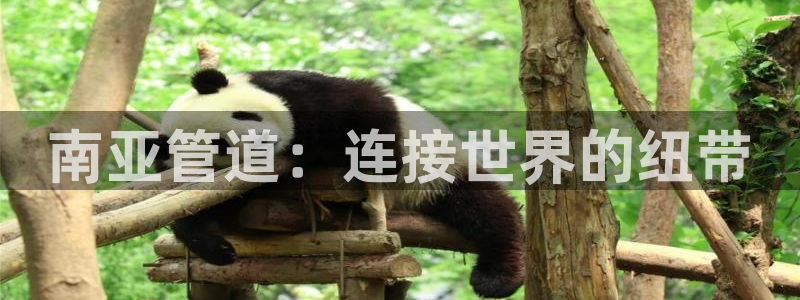 天辰娱乐 . 鱼刺