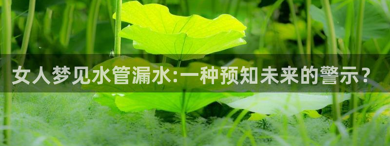 天辰娱乐登录网址